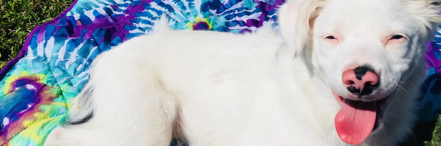 haileyrobichaux's profile banner image