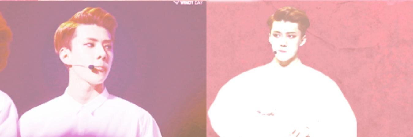sehduces's profile banner image