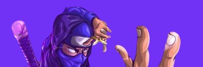 Wise🐍 banner