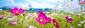 Mrs_Sheahan_'s profile banner image