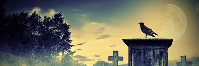 secretsignsband's profile banner image