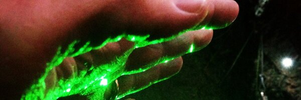 ReidCThompson1 Profile Banner