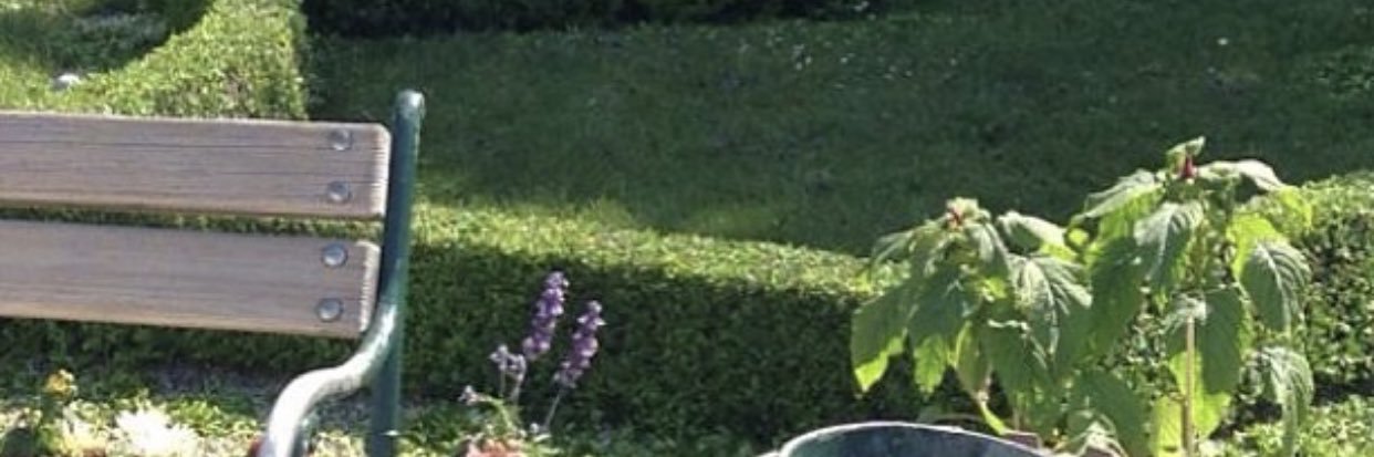 عبدالله مبارك الحربي banner