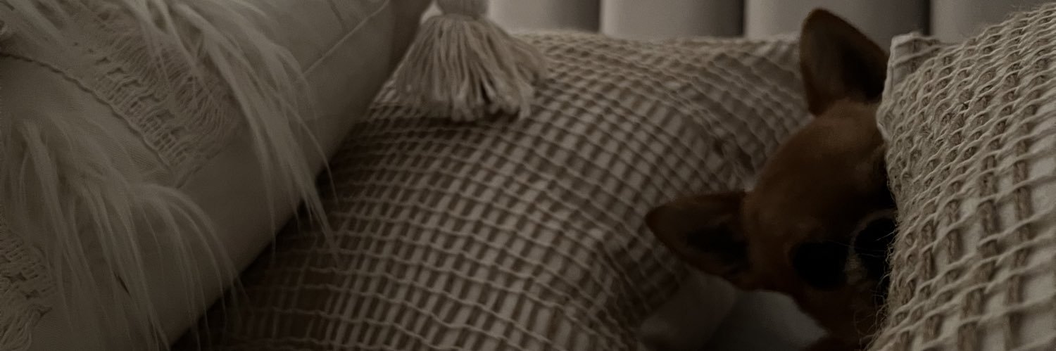 RocioMenel's profile banner image