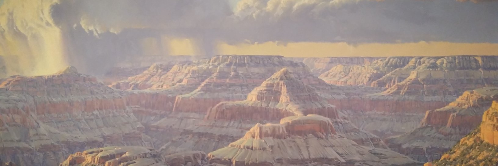 CEdwardWilliams's profile banner image