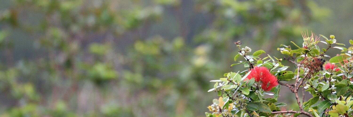 AkinaTours's profile banner image
