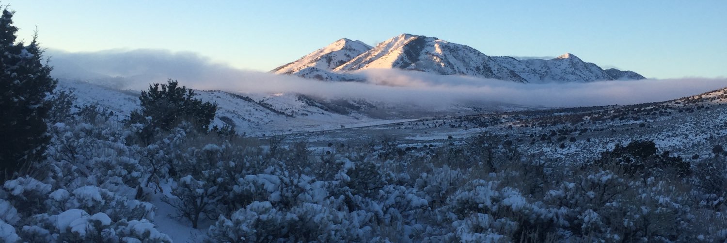 Emmitt Sanders banner