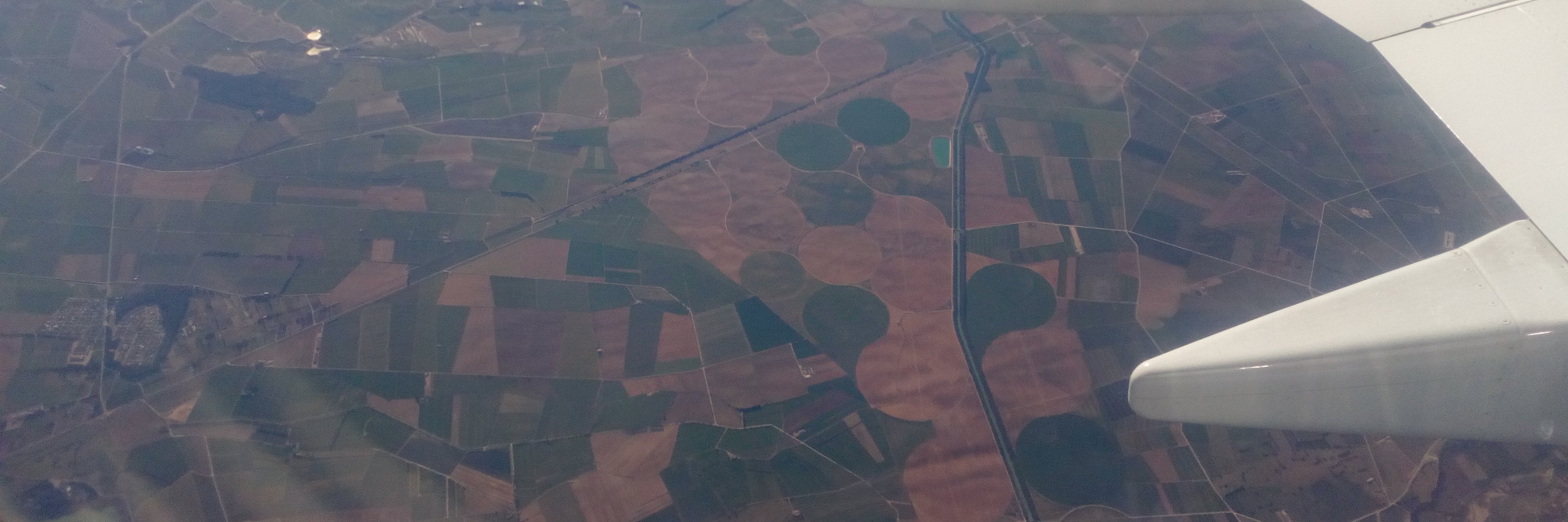 Edith Pacheco banner