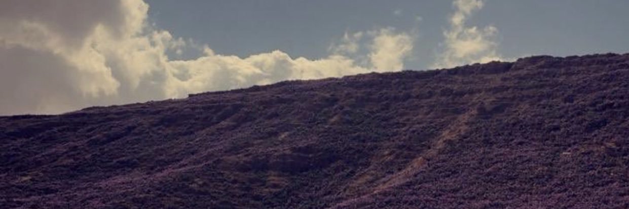 rash1317's profile banner image