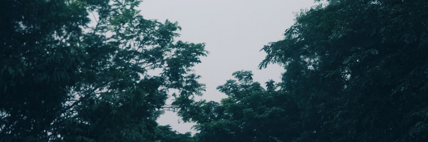 hilalgodel2's profile banner image