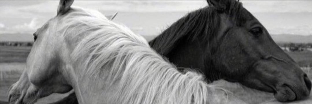_09iz's profile banner image