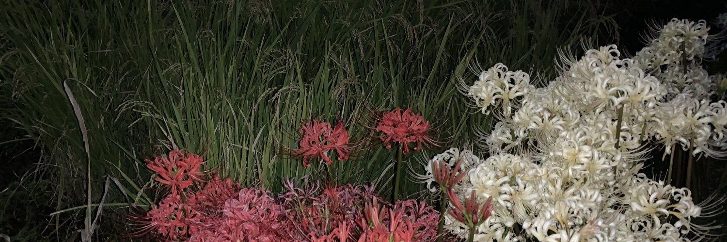 akar531's profile banner image