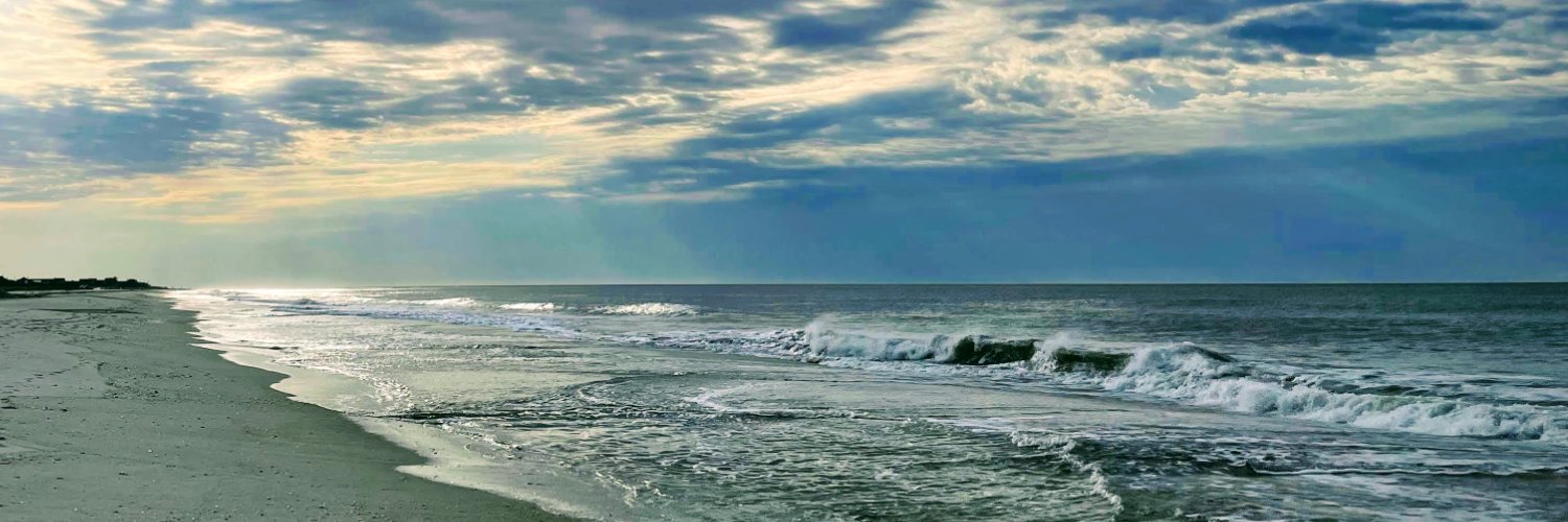 Ann Kirschner banner