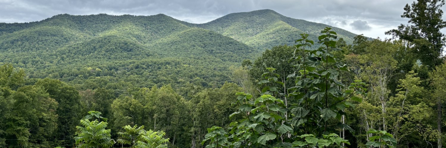 Captain 👨🏾‍✈️⚓️🛳️ banner