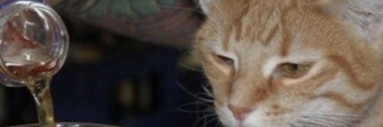ivanalmejandro's profile banner image