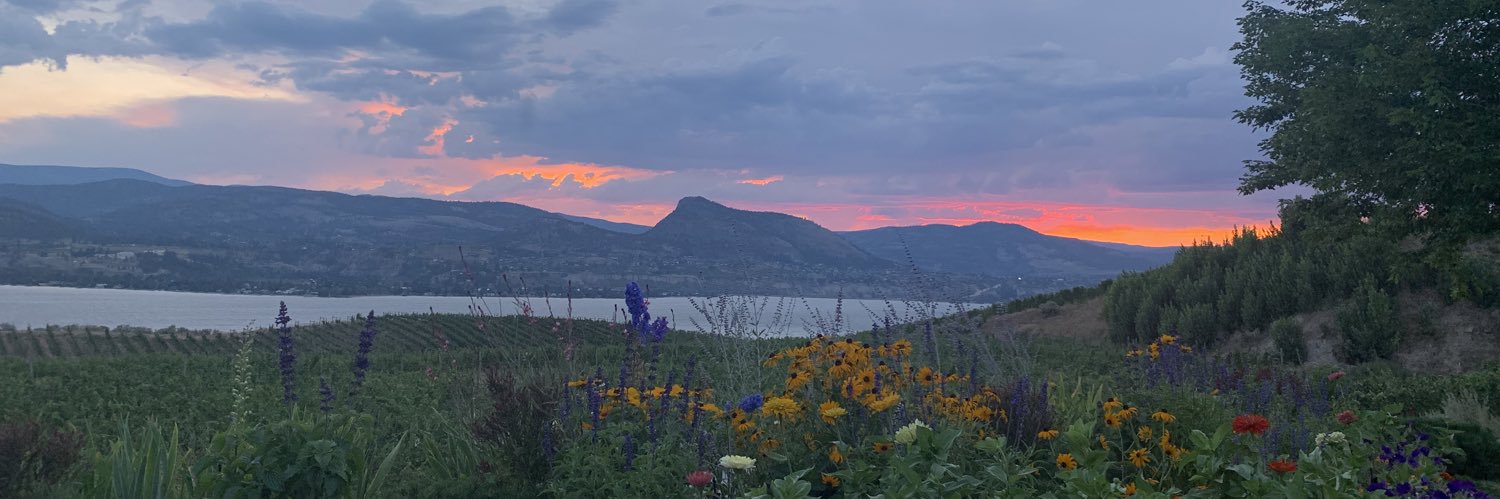 gillianm_smith's profile banner image