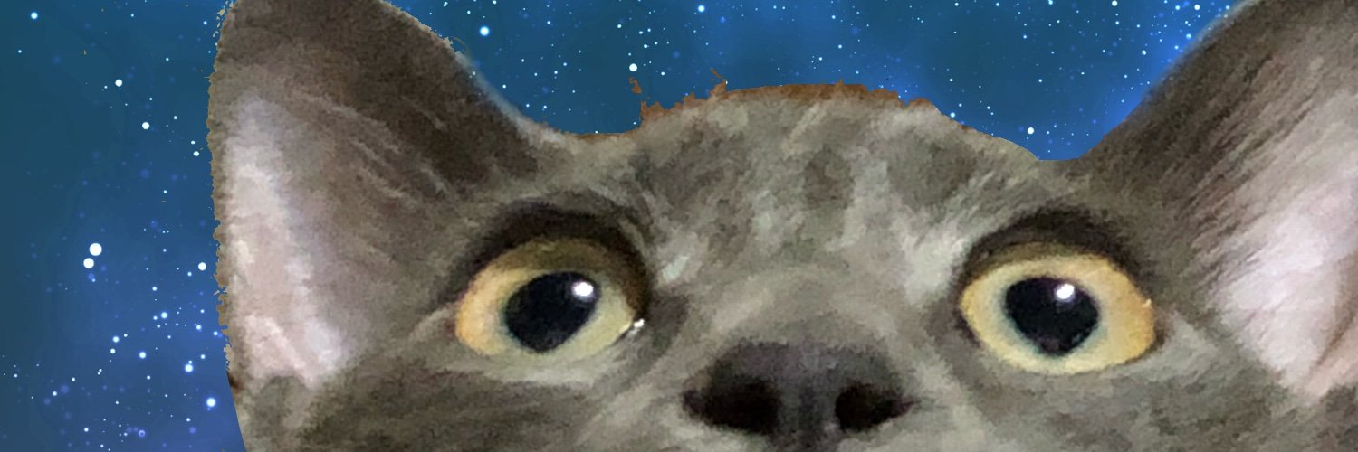 kontsuke's profile banner image