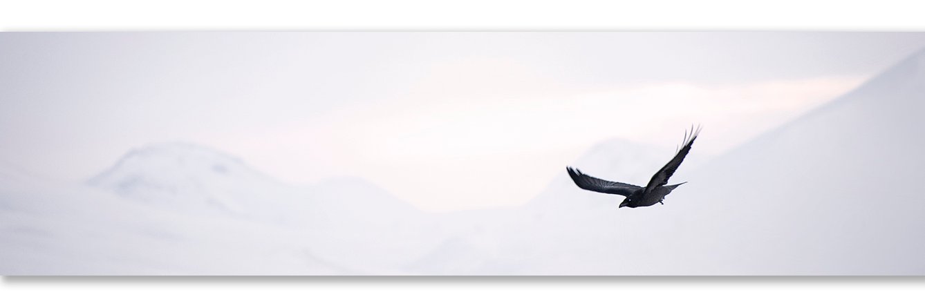MStromvik's profile banner image