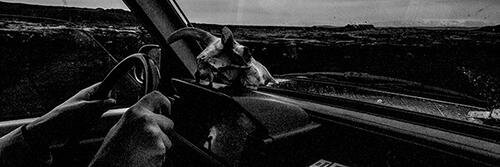 vanmalleghem's profile banner image