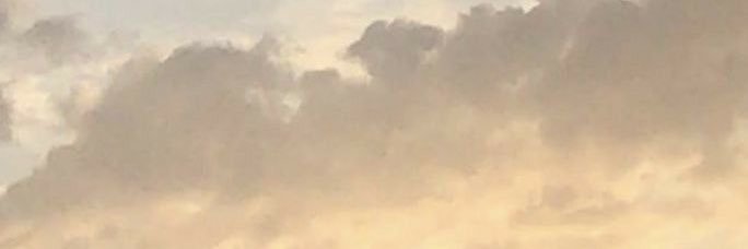 rxcelle's profile banner image