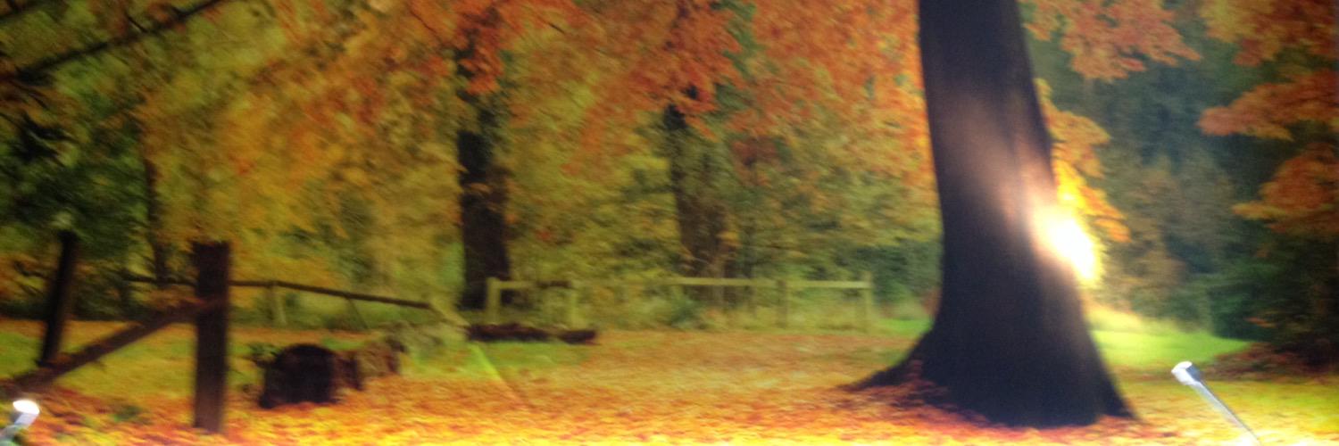 bilbokua's profile banner image