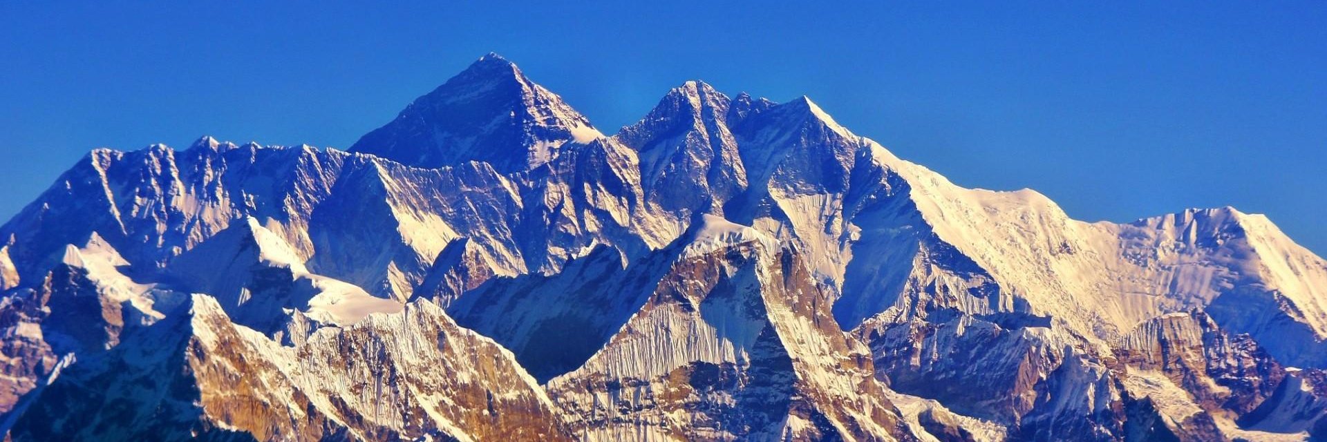 nick (solo factos) banner