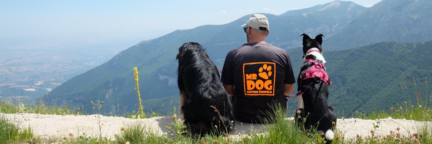 discoloimpenite's profile banner image