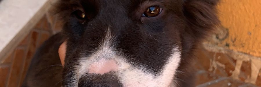 hails8an's profile banner image