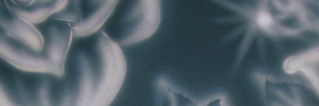 el_unicopablo's profile banner image