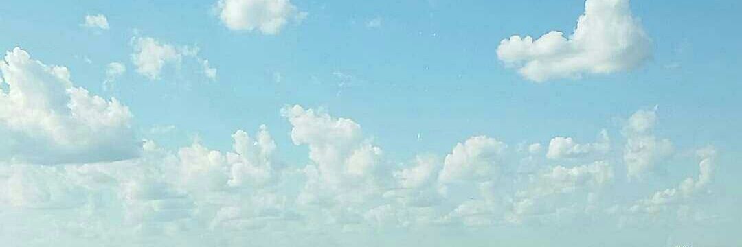 Grace Flusche Ogden banner