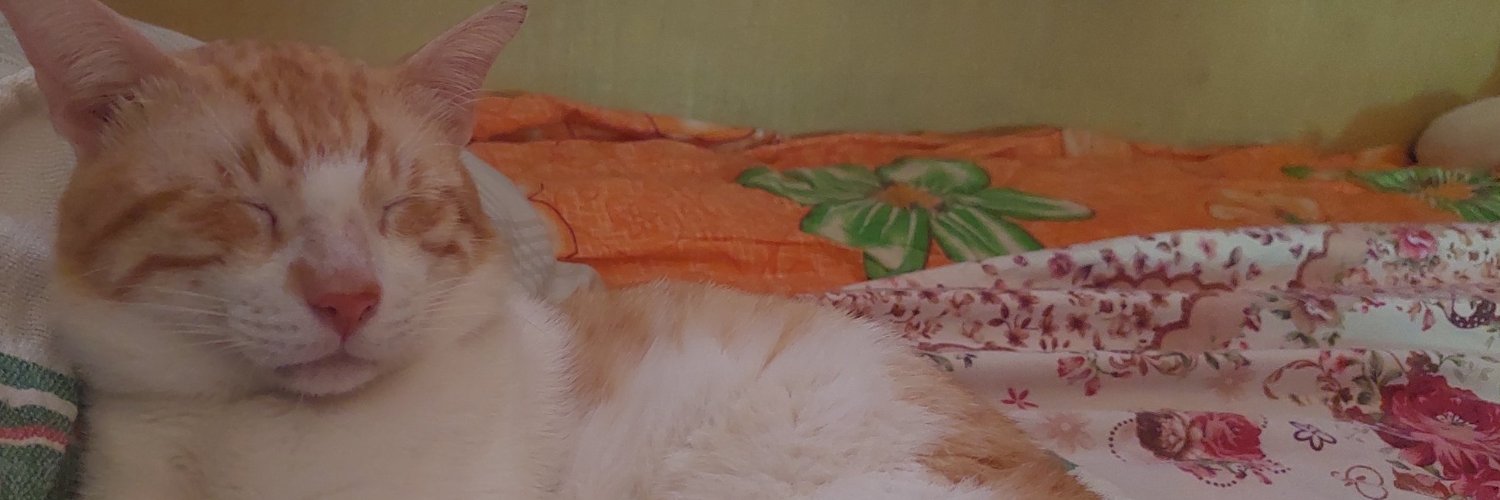 kbxxi's profile banner image