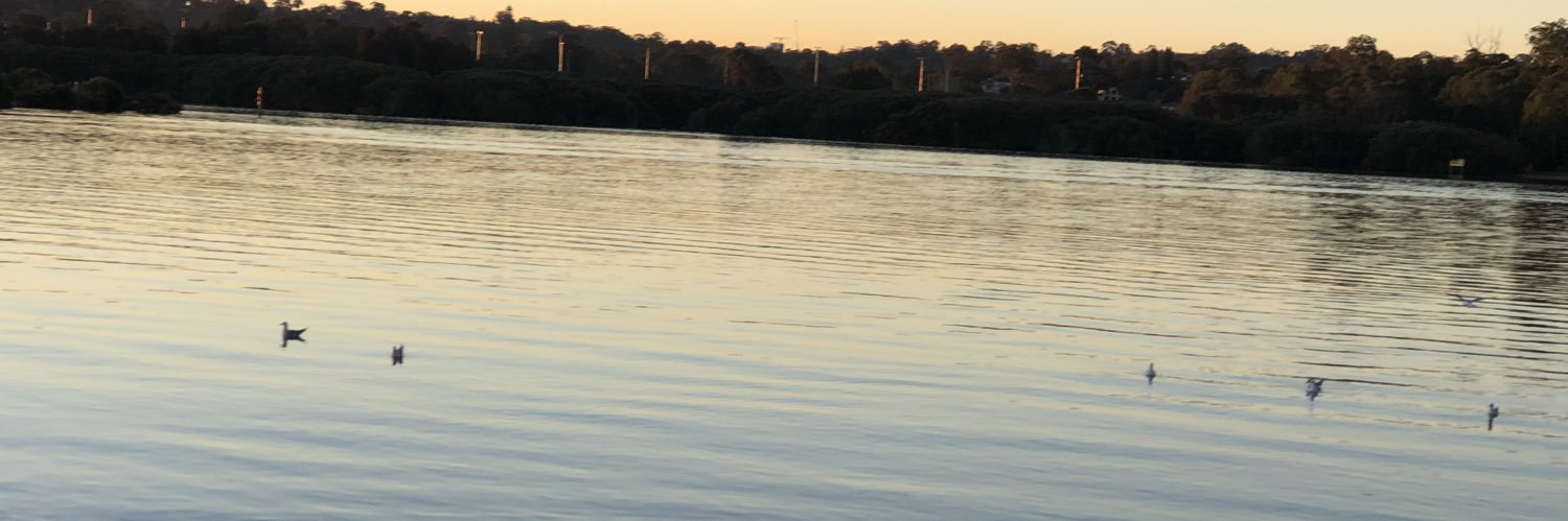 MonaElRefaei's profile banner image