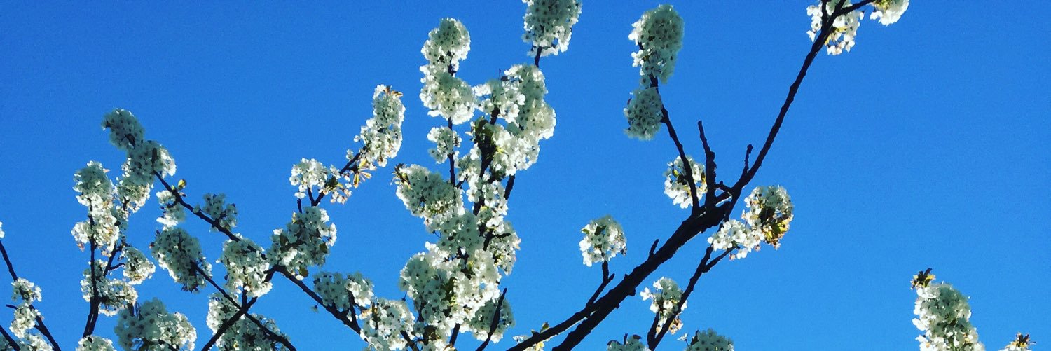 xDebCeex's profile banner image