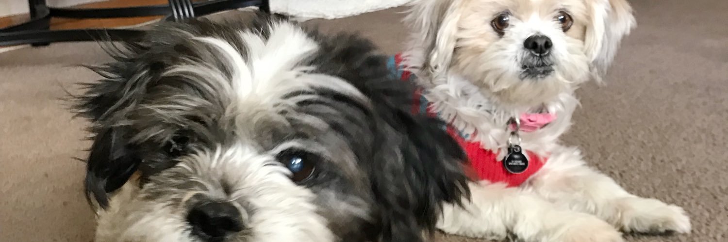 brizzyl_'s profile banner image