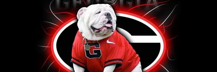 Terry41065607's profile banner image
