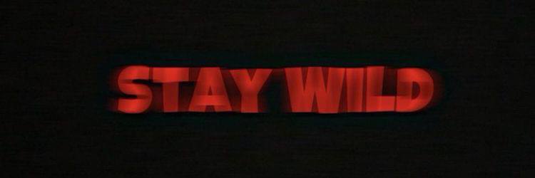 Teho banner