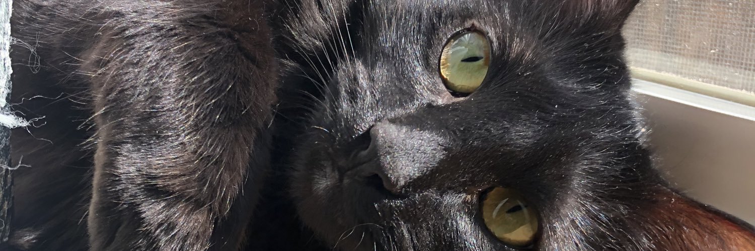 RachelNicole01's profile banner image