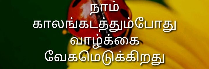 Thasarathanoff's profile banner image