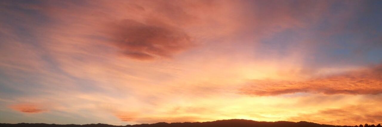 VolonteLali's profile banner image