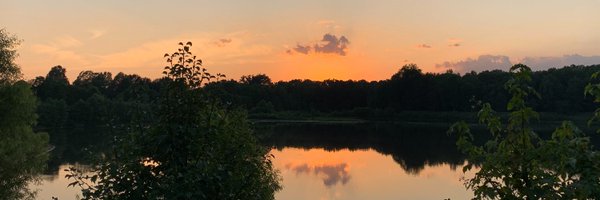 ReneeTeate Profile Banner