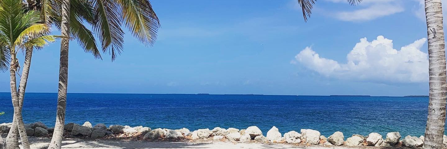 SaucedUpTour's profile banner image