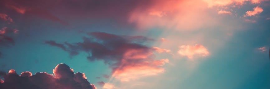 warnheeman's profile banner image