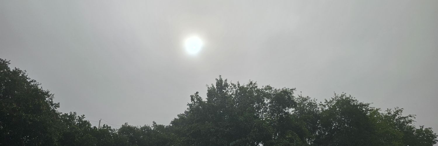 🎗 동남권 공부 노동자 banner