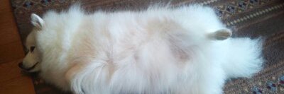 christhespitz's profile banner image