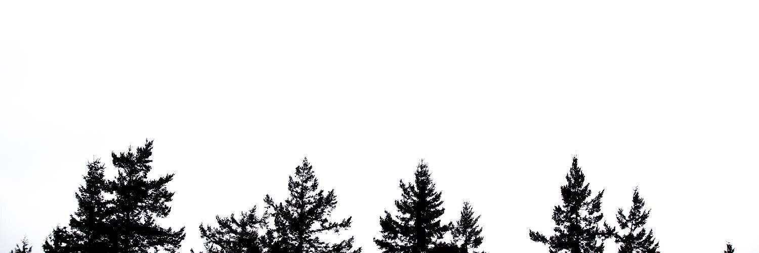 MeganAlyse1's profile banner image