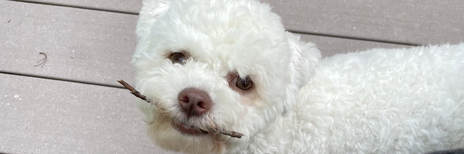 hannnyb's profile banner image