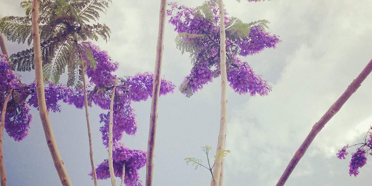 tugchetugche's profile banner image