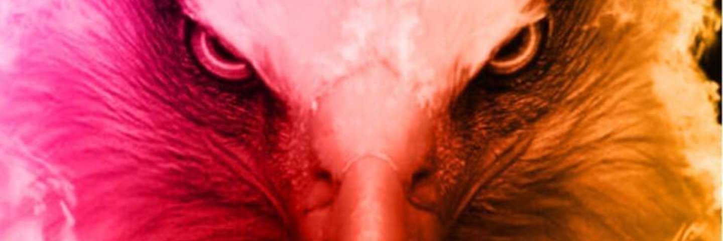 voodoozle's profile banner image