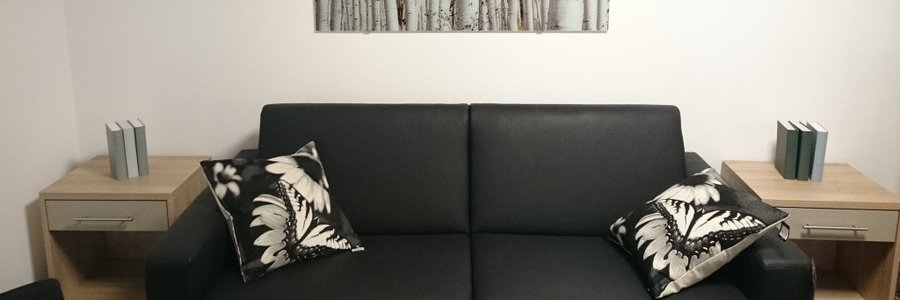 s 𝚌𝚑 𝚛𝚕 𝐥𝐦𝚗 𝚗 banner