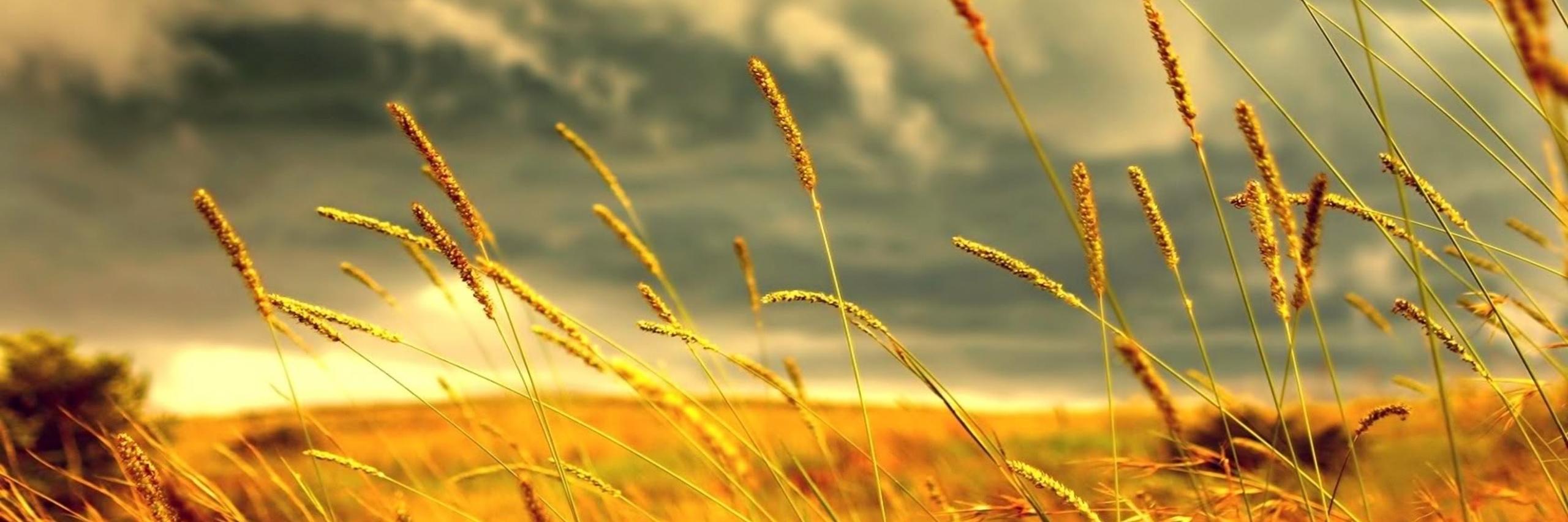 AnnetteLRaakil's profile banner image